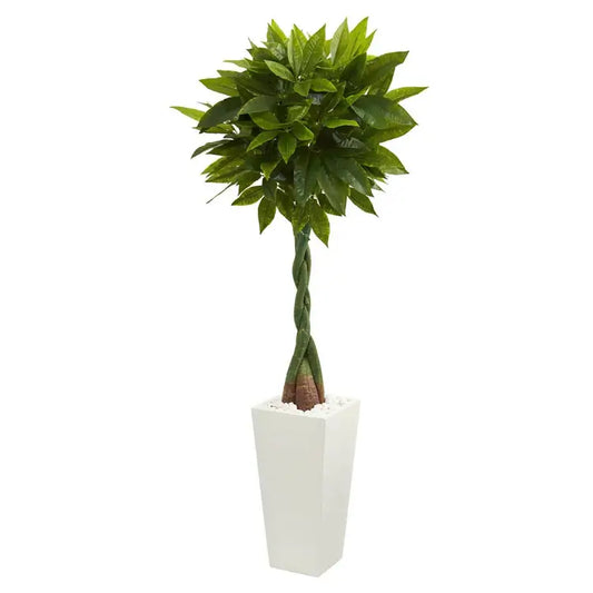 5.5' Money Artificial Tree in Tower Planter (Real Touch)