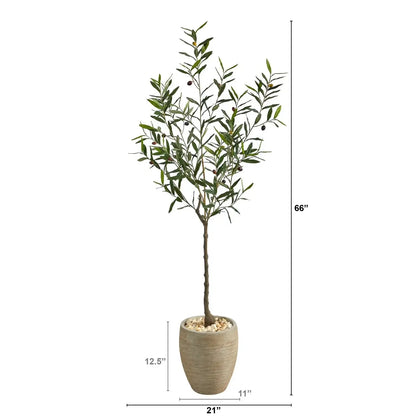 5.5' Olive Artificial Tree in Sand Colored Planter