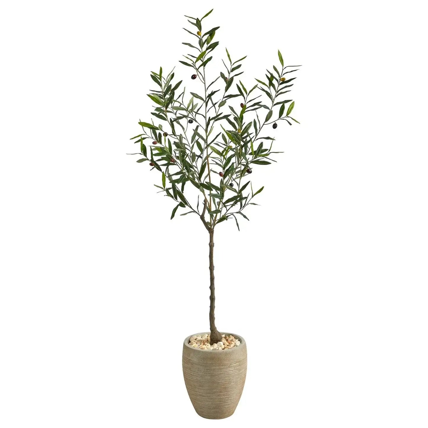 5.5' Olive Artificial Tree in Sand Colored Planter