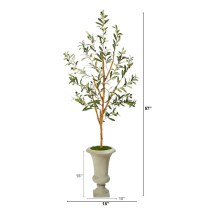 57" Olive Artificial Tree in Sand Colored Urn