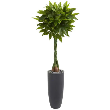 5.5' Money Artificial Tree in Cylinder Planter (Real Touch)