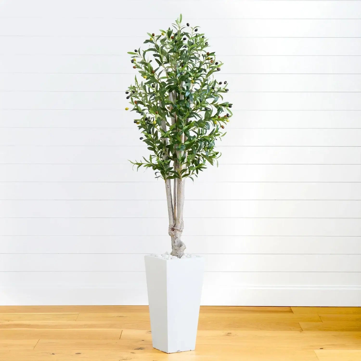 6' Olive Tree in White Tower Planter