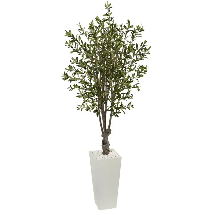 6' Olive Tree in White Tower Planter