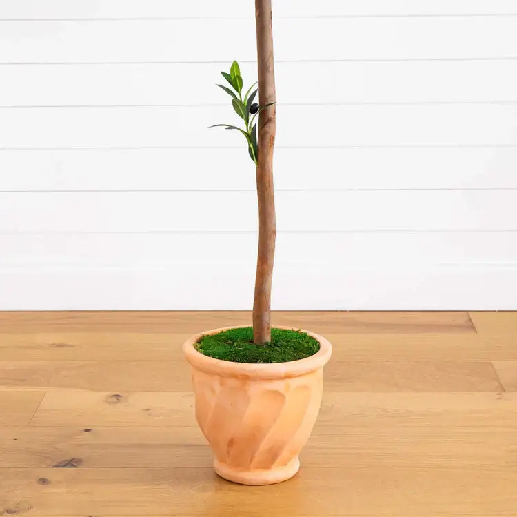 63" Olive Artificial Tree in Planter UV (Indoor/Outdoor)