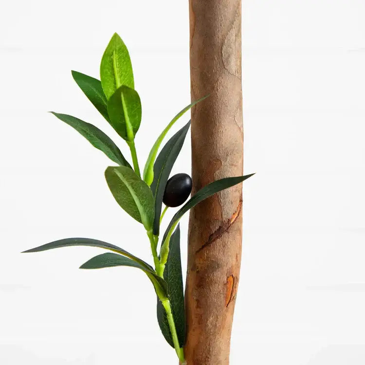 63" Olive Artificial Tree in Planter UV (Indoor/Outdoor)