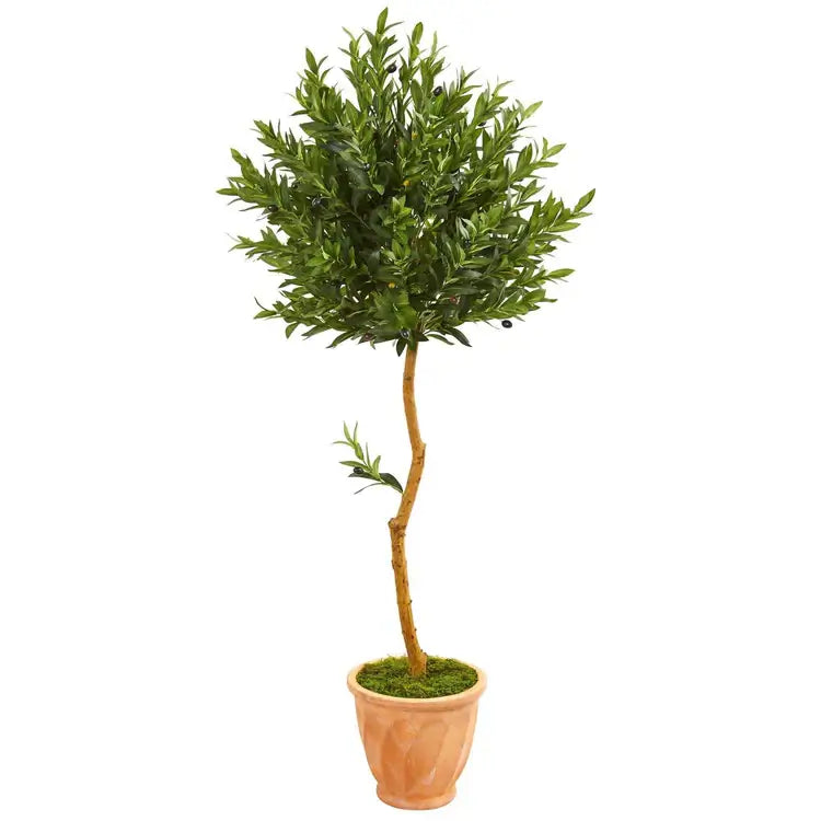 63" Olive Artificial Tree in Planter UV (Indoor/Outdoor)