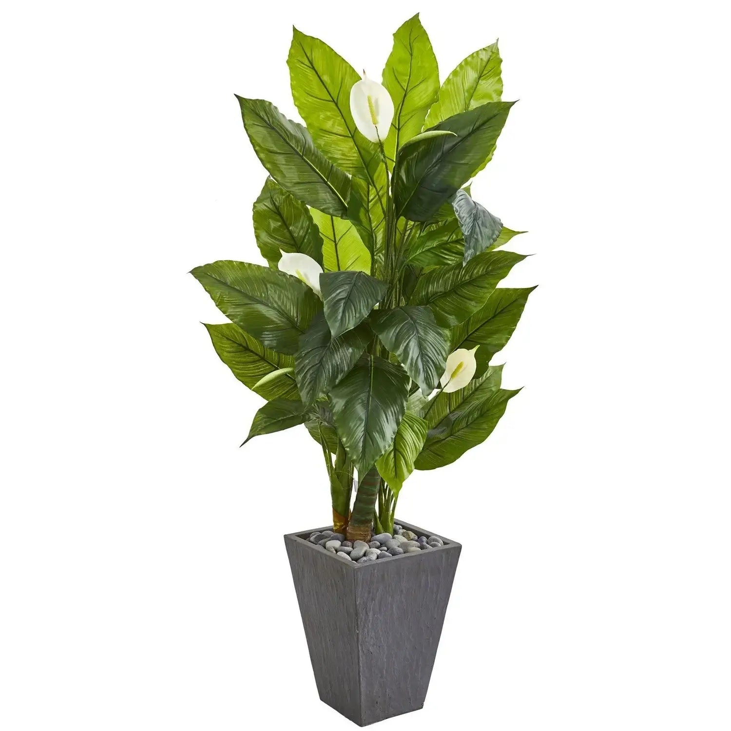 63"Spathyfillum Artificial Plant in SlatePlanter (RealTouch)