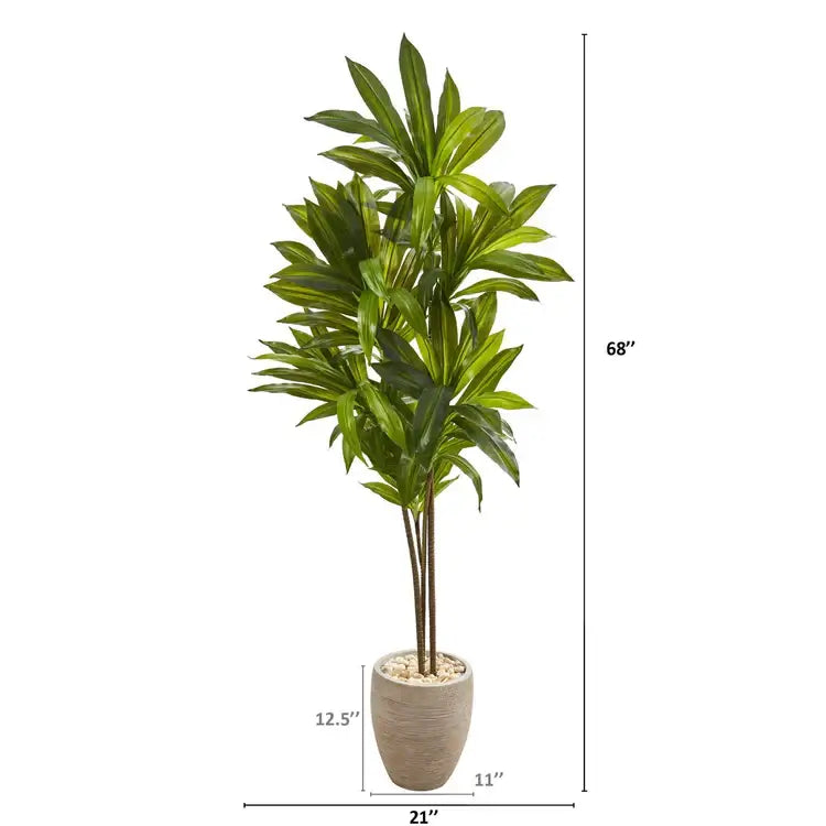 68" Dracaena Plant in Sand Colored Planter (Real Touch)