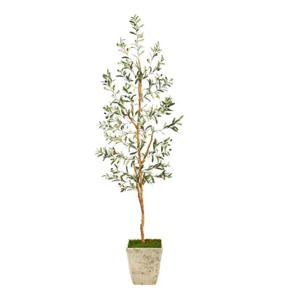 70" Olive Artificial Tree in Country White Planter