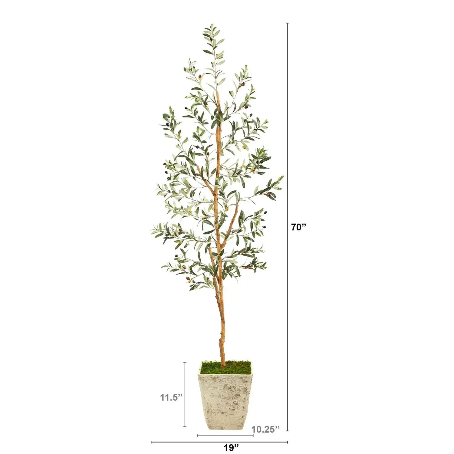 70" Olive Artificial Tree in Country White Planter