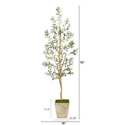 70" Olive Artificial Tree in Country White Planter