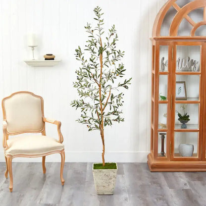 70" Olive Artificial Tree in Country White Planter