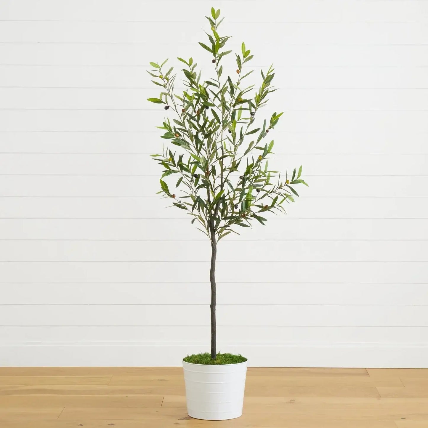 70" Olive Artificial Tree in White Tin Planter