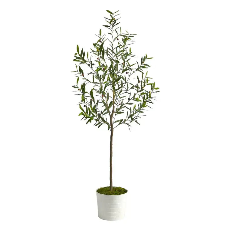 70" Olive Artificial Tree in White Tin Planter