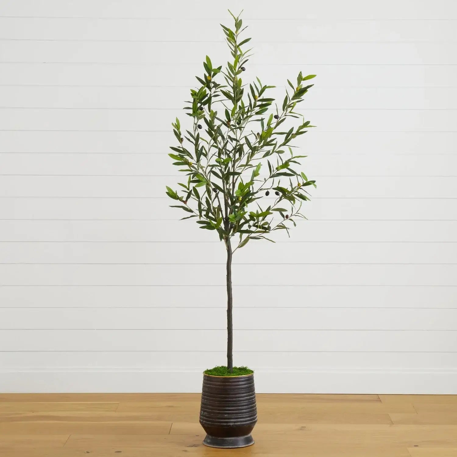 75" Olive Artificial Tree in Ribbed Metal Planter