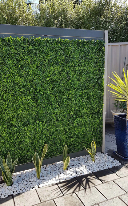 Sample Panel of Mixed Artificial Boxwood Wall (Small Sample) Commercial Grade UV Resistant