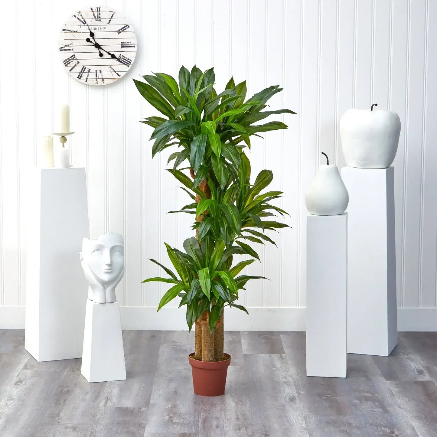 57" Corn Stalk Dracaena Artificial Plant (Real Touch)