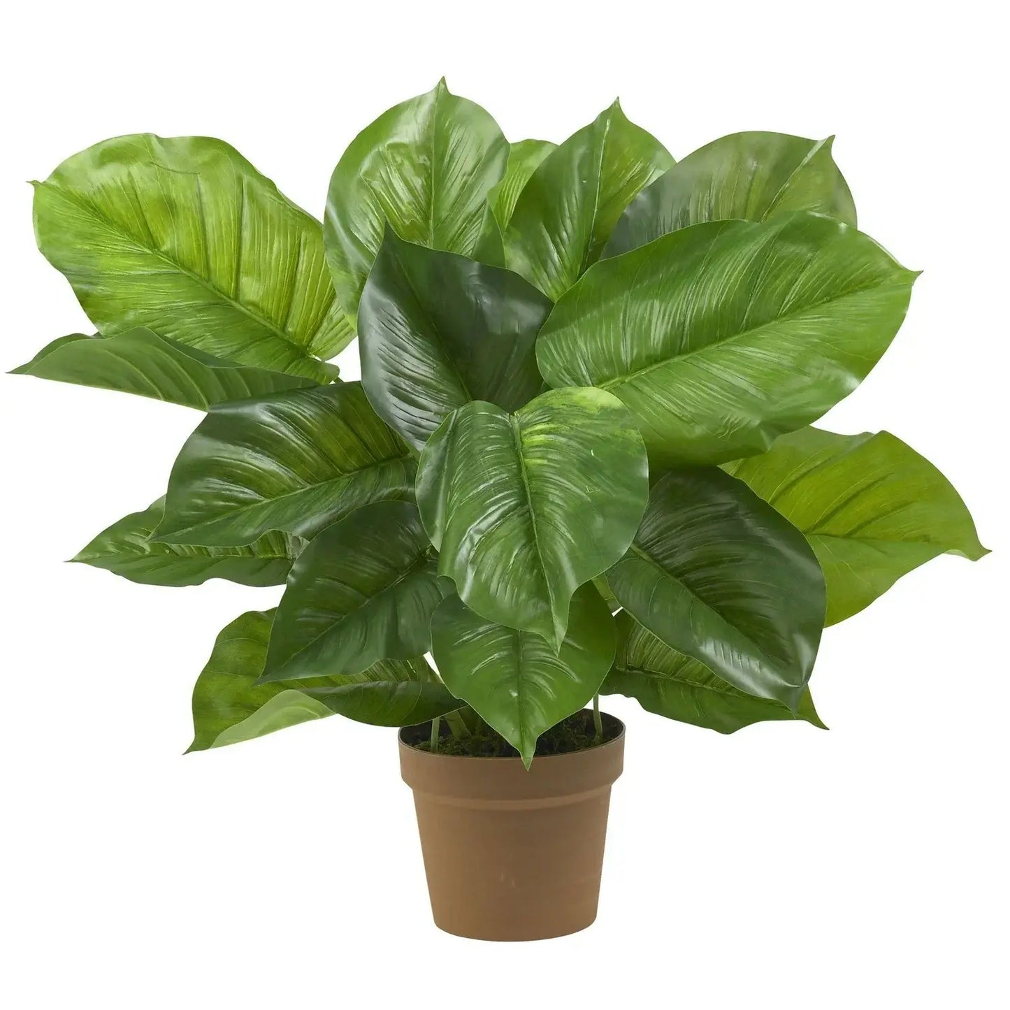 27" Large Leaf Philodendron Silk Plant (Real Touch)