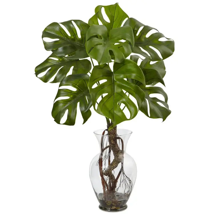 26" Monstera Plant with Vase