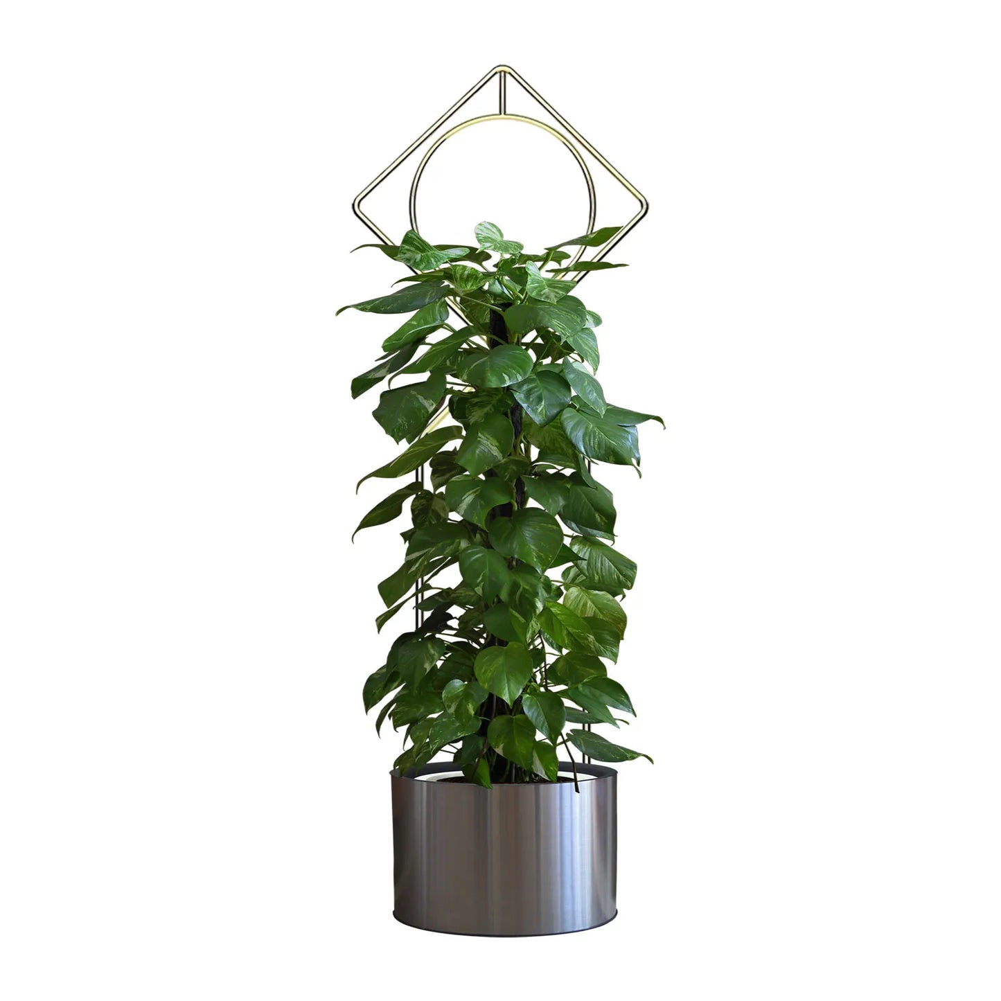 Metal Trellis Geometric Indoor Plant Support