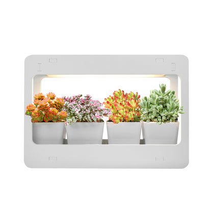 LED Mini Garden Grow Kit