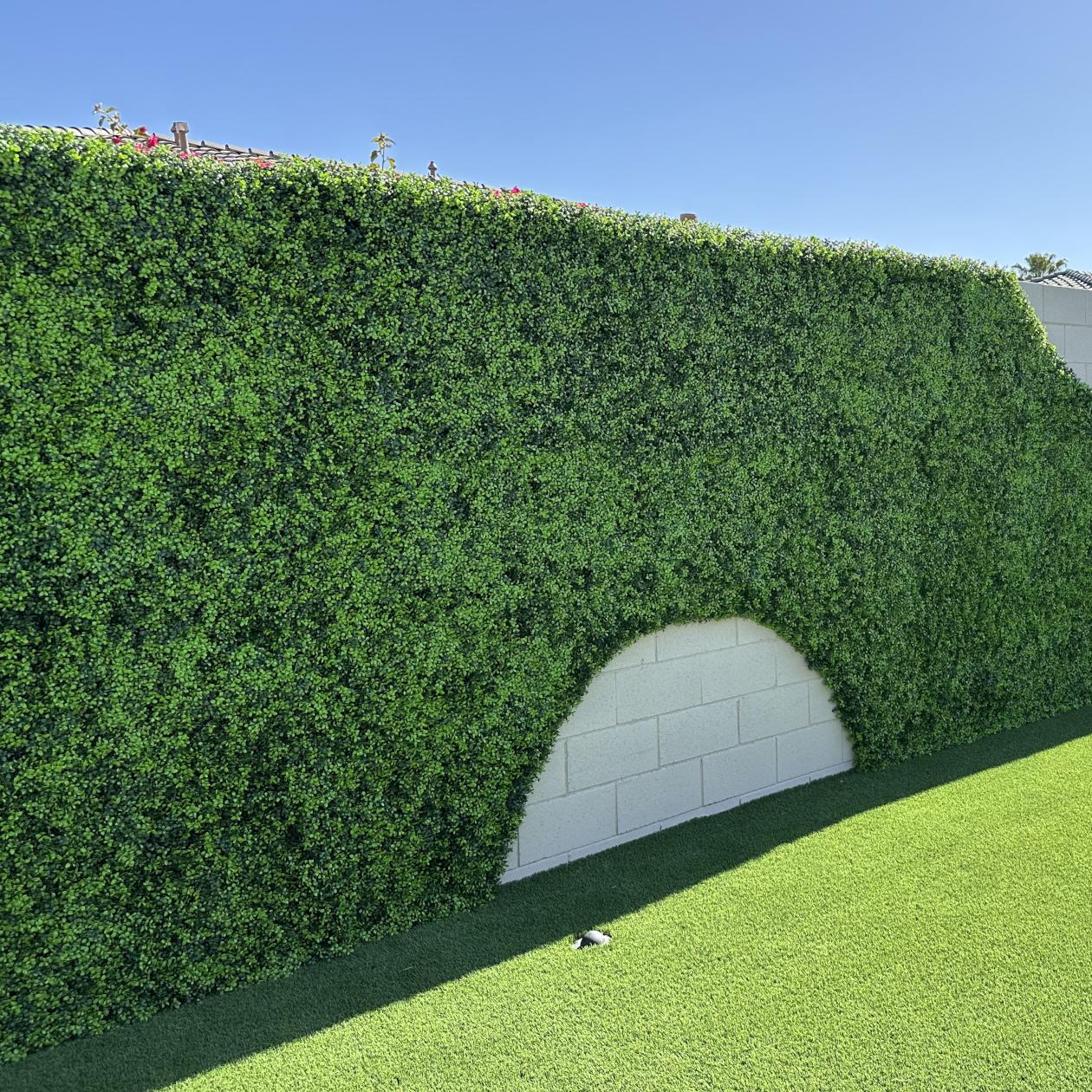 Premium Bright Artificial Boxwood Wall 40" x 40" 11SQ FT Commercial Grade UV Resistant