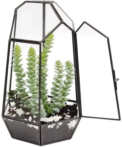 Handmade Cylindrical Glass Terrarium With Door