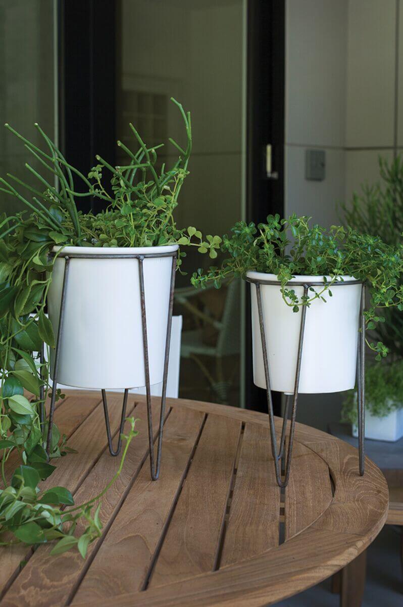 Cassa Plant Stand