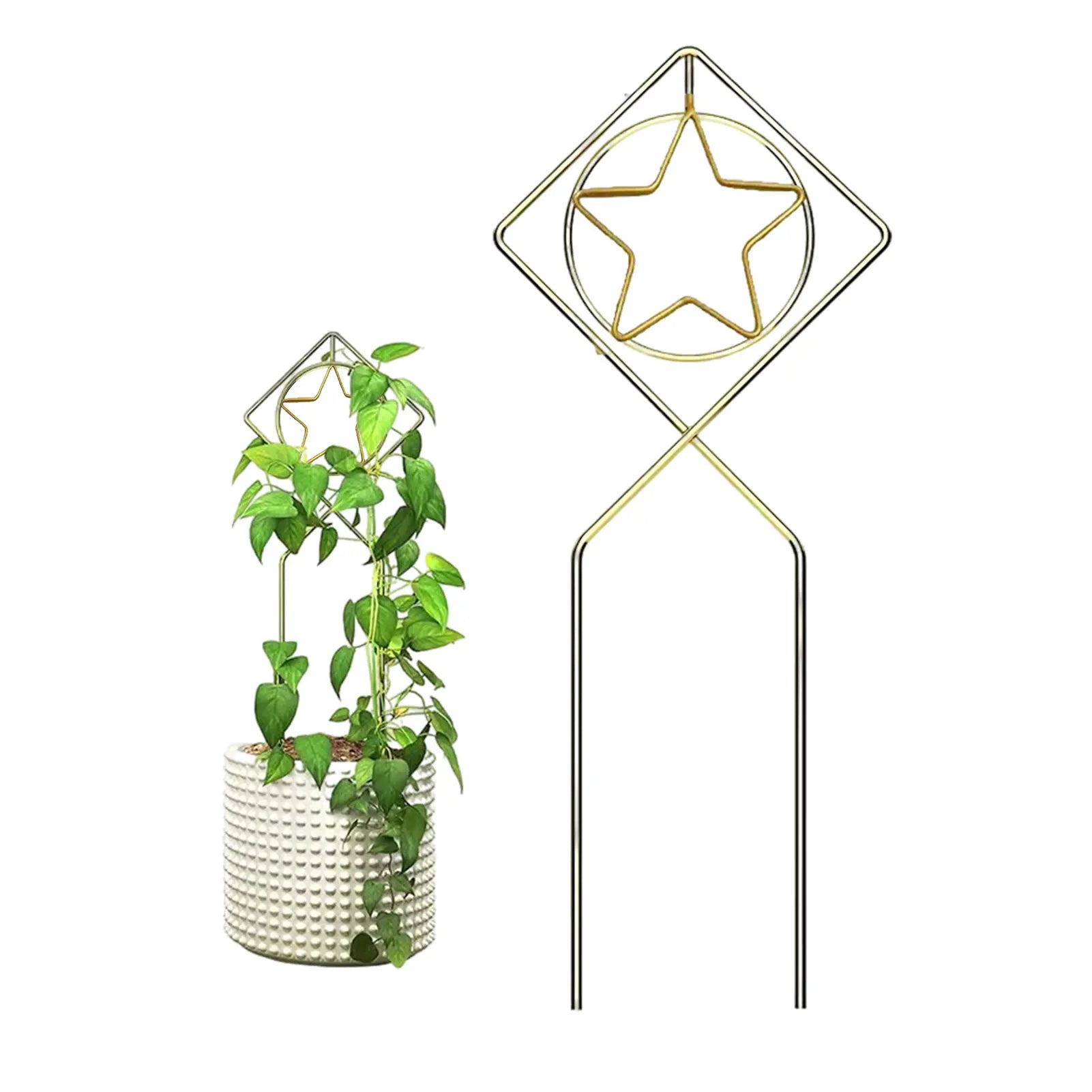 Metal Trellis Geometric Indoor Plant Support