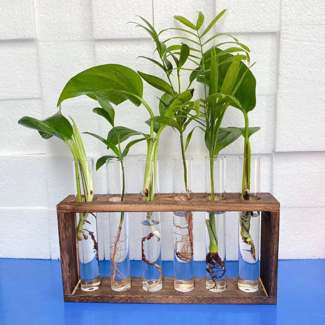 Glass Planter Propagation Station