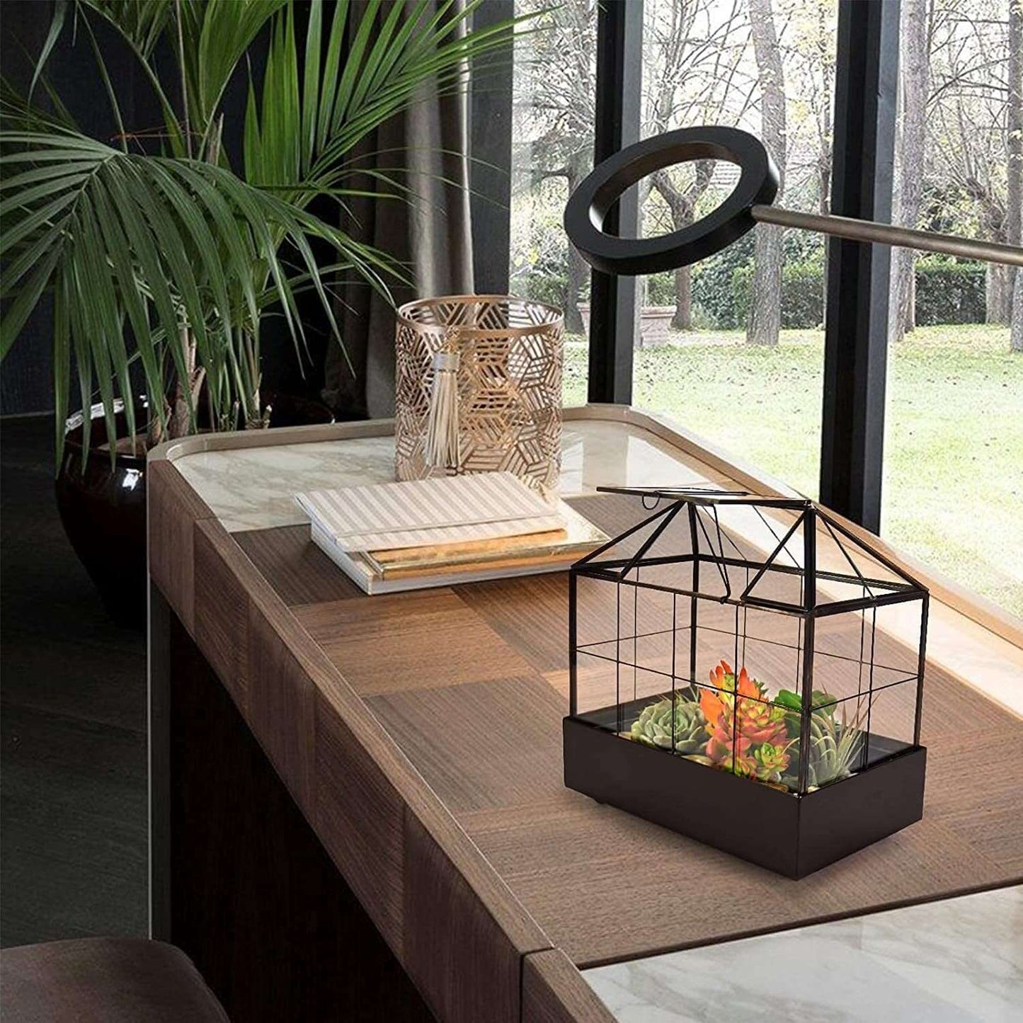 Tabletop Terrarium Kit Large With Lid and Tray