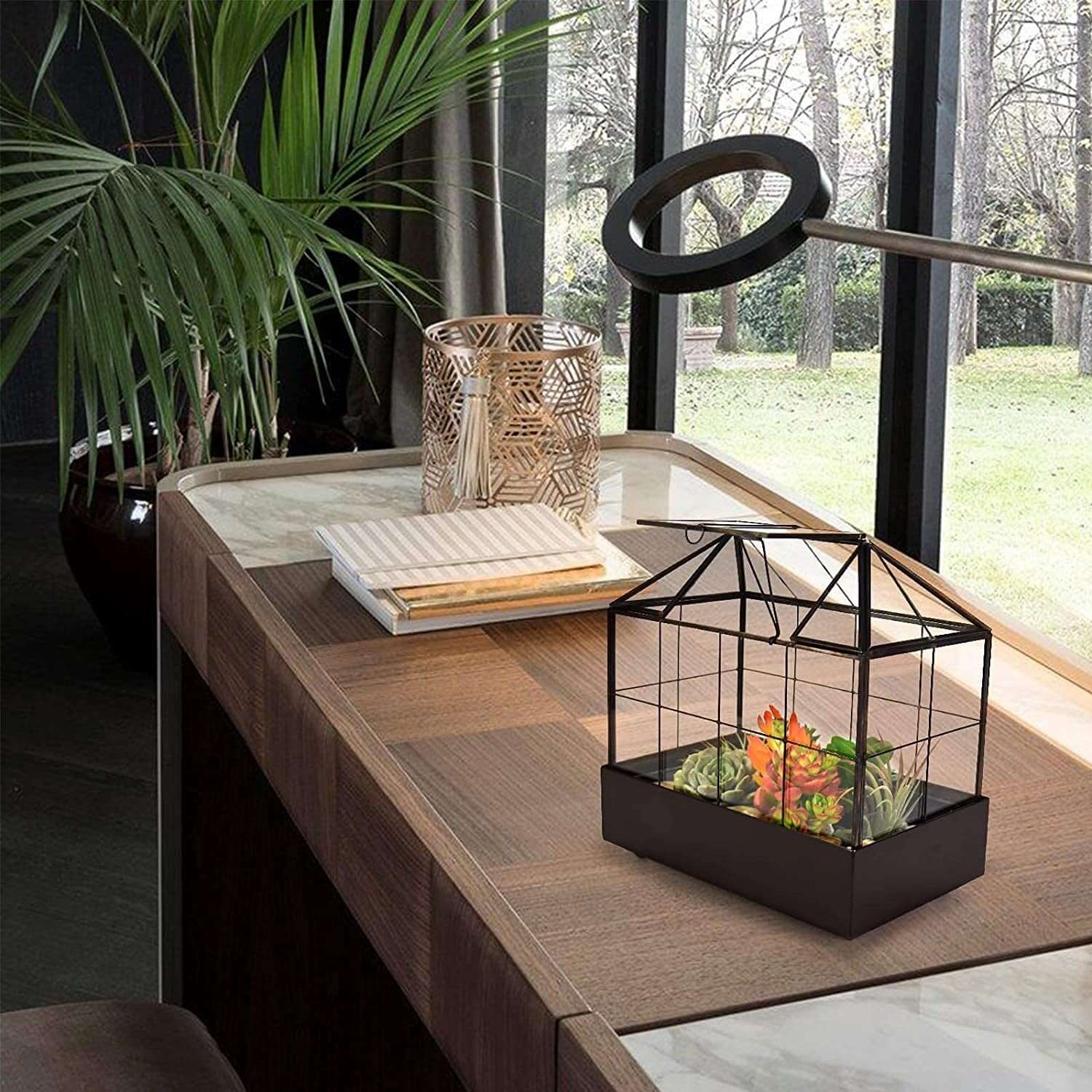 Tabletop Terrarium Kit Large With Lid and Tray
