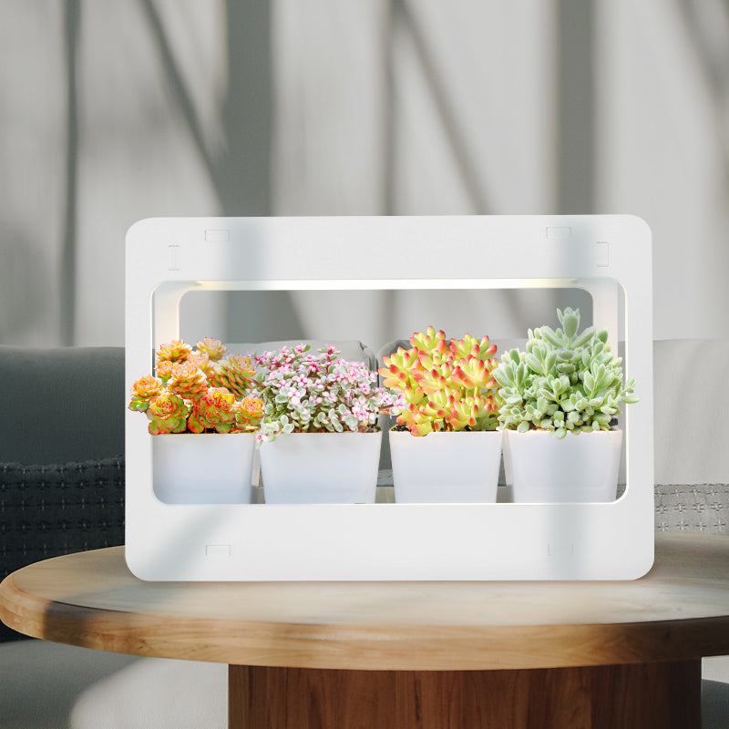 LED Mini Garden Grow Kit