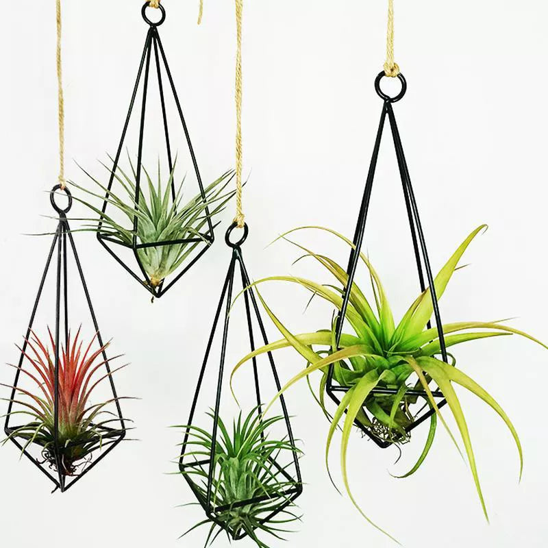 Metal Geometric Hanging Plant Pot