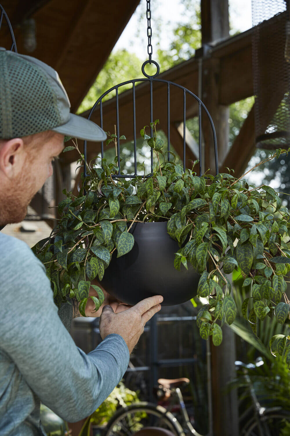 Hestia Hanging Pot