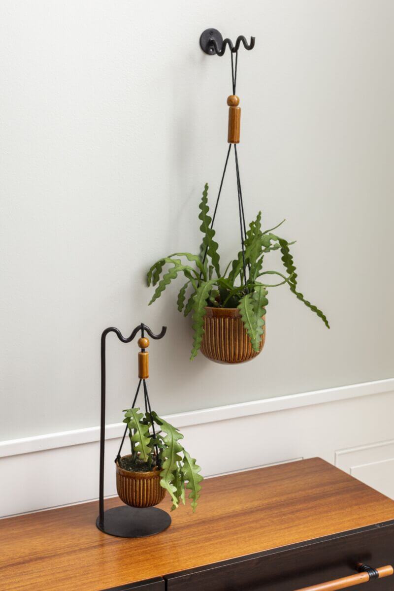 Irwin Hanging Pot (Set of 2)