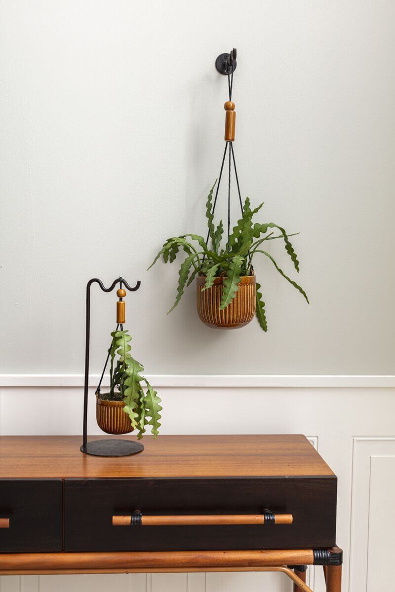 Irwin Hanging Pot (Set of 2)