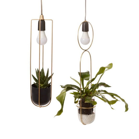 Kol Hanging Planter with Grow Light