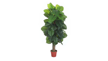 63" Philodendron Artificial Plant in Planter (Real Touch)