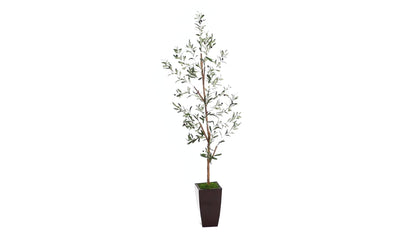 5.5' Olive Artificial Tree in Bronze Metal Planter