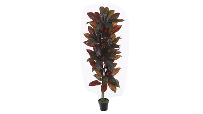 5' Cordyline Plant (Real Touch)