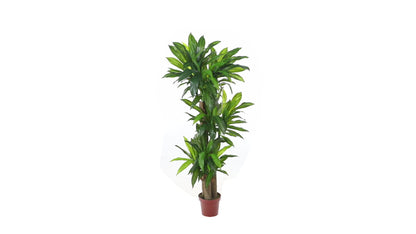 57" Corn Stalk Dracaena Artificial Plant (Real Touch)