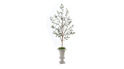 57" Olive Artificial Tree in Sand Colored Urn