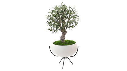 3' Olive Artificial Tree in White Planter with Metal Stand