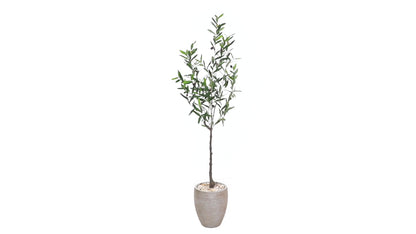 5.5' Olive Artificial Tree in Sand Colored Planter