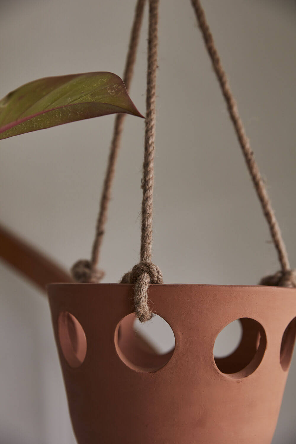 Serralles Hanging Pot